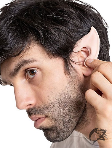 Latex Applikation Star Ears